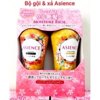 Bộ Dầu Gội Xả  Asience 450ml - Nhật Bản