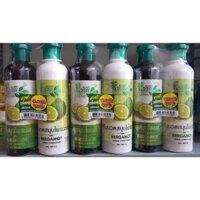 BỘ DẦU GỘI - XẢ Bưởi Chanh BERGAMOT