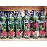 BỘ DẦU GỘI XẢ BƯỞI GRAPEFRUIT 850ml