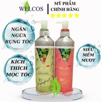 Bộ Dầu Gội Xả Bưởi Grapefruit 850ml CT99