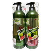 Bộ Dầu Gội Xả Bưởi Grapefruit 850ml – Đặc Giảm Rụng Tóc Kích Thích Mọc Tóc