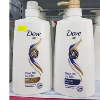 Bộ Dầu Gội - Xả Dove Phục Hồi Hư Tổn (650g)