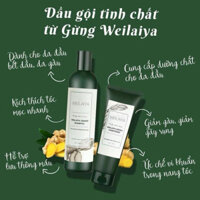 Bộ Dầu Gội Xả Gừng Weilaiya Hà thủ ô kích mọc tóc giảm gãy rụng giảm gàu