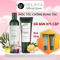 Bộ dầu gội xả gừng Weilaiya chính hãng giảm rụng tóc kích thích mọc tóc Shop Havana