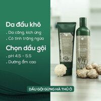Bộ dầu gội xả gừng Weilaiya giảm rụng kích mọc tóc hiệu quả, dầu gội cho tóc dầu bết