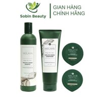 Bộ Dầu Gội Xả Gừng Weilaiya Ginger Kích Thích Mọc Tóc, Ngăn Ngừa Gàu, Giảm Gãy Rụng 400ml+250ml - Sobin Beauty