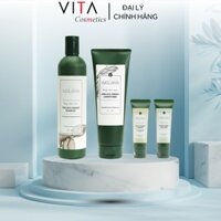 Bộ Dầu Gội Xả Gừng Weilaiya Ginger Kích Thích Mọc Tóc Từ Thảo Dược Thiên Nhiên - Vita Cosmetics