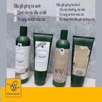 Bộ dầu gội xả gừng Weilaiya Tặng kèm 1 cặp mini 20ml