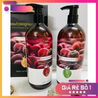 Bộ Dầu Gội Xả Phúc Bồn Tử RASPBERRY BEAUTY ENGRSVER Quả Mâm Xôi 1000mlx2- Hàng Chính Hãng Alayacosmetic HALY95