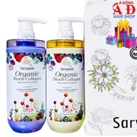 Bộ dầu gội xả Saryyam Sinhair Hương Sen Bách Diệp phục hồi siêu mượt giảm rụng mọc tóc 500ml
