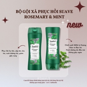 Bộ dầu gội – xả Suave Rosemary + Mint