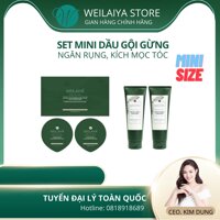 Bộ dầu gội xả Weilaiya, dầu gội gừng giảm rụng tóc, kích thích mọc tóc chính hãng mini size