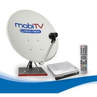 Bộ Đầu Thu Kỹ Thuật Số Vệ Tinh DTH – AVG