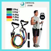 Bộ dây đàn hồi tạo lực kéo tập thể dục với 11 chi tiết. Dụng cụ hỗ trợ tập YoGa, Dụng cụ hỗ trợ tập Gym. Bộ nhảy dây