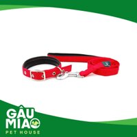 Bộ dây dắt + vòng cổ đệm màu 1031B