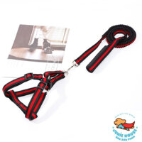 Bộ dây dắt yếm cho chó lớn