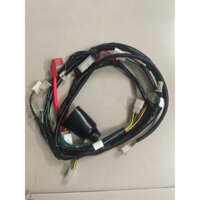 Bộ dây điện Elegant 50cc/100cc - Chính hãng SYM