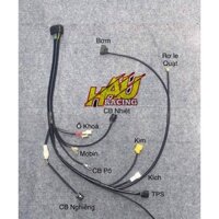 BỘ DÂY ĐIỆN LÊN FI CHO EXCITR135 (SỬ DỤNG LẠI DÂY ĐIỆN SƯỜNG ZIN ) SỬ DỤNG DỤNG ECU EXCITER150-HAURACINGSHOP