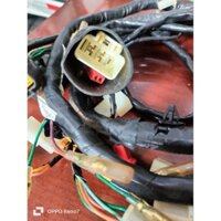 bộ dây điện SHARK 170cc