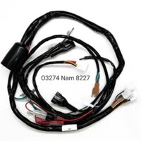 Bộ dây điện sườn chính xe CITI DAELIM