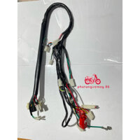 Bộ dây điện sườn chính xe wave anpha100 có đề hàng công ty cao cấp 2003-2005