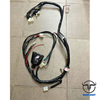 Bộ dây điện sườn Sirius chính hãng