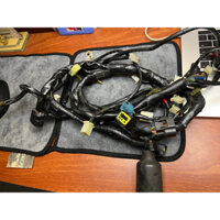 BỘ DÂY ĐIỆN SƯỜN SPARK 135i THÁO XE