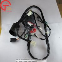 BỘ DÂY ĐIỆN SƯỜN WAVE ALPHA