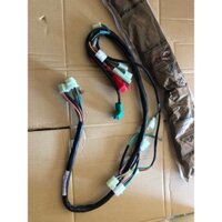 Bộ dây điện sườn xe dream loại 1