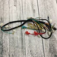 Bộ dây điện Sườn xe- Dream thái ,Dream trung quốc , ZX Wave110, cub 81 cũ, cub82 có đề, RS S100, WIN có đề, win không đề