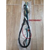 bộ dây điện sườn xe honda win 100