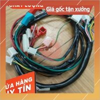 Bộ dây điện xe dream .