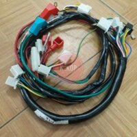 Bộ dây điện xe dream .