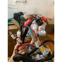 Bộ dây tổng xe điện Xmen