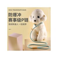 Bộ dây xích chó tích hợp, dây da P, dây xích điều chỉnh cho thú cưng, dây an toàn cho thú cưng, dây xích polyester