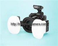 Bộ đèn Flash chụp Macro Godox MF12-DK1 Dental Kit
