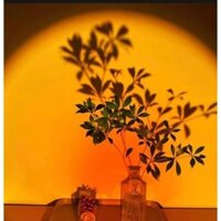 Bộ Đèn hoàng hôn Đèn sunset cầu vồng  led tiktok