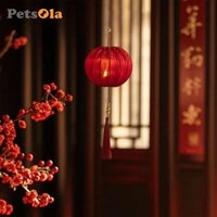 Bộ đèn lồng Tết Nguyên Đán 2025 Bộ thủ công DIY màu đỏ cho cửa hàng gia đình Phòng khách