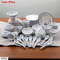 Bộ Đĩa, Chén, Muỗng [10 món] hình Hoa Phượng Nine Plus - Melamine A5 Khó Bể - Dùng cho nhà hàng, quán ăn
