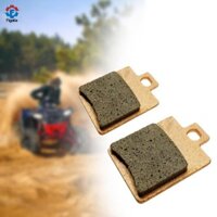Bộ đĩa ma sát đồng Figatia 2 miếng Má phanh ATV