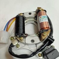 Bộ điện , bộ xương liền cuộn điện và đèn xe dream