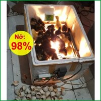 Bộ Điều Khiển Máy Ấp Trứng Mini Đầy Đủ Chức Năng Tự Động, Nhiệt Độ Chính xác, Đảo Trứng Tự Động ĐK550