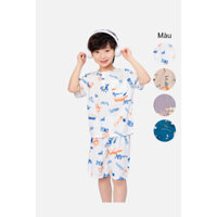 Bộ đồ bé trai chất vải Lanh quần đùi, áo cộc tay thời trang Việt Thắng - B63.5002