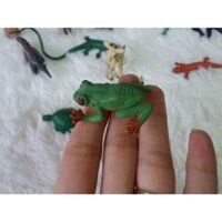 Bộ đồ chơi 36 động vật hoang dã SAFARI (hàng xuất dư) Trẻ em được lạc vào thế giới cổ tích Shop Vân Lê SG chúc bé vui