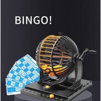 Bộ đồ chơi Bingo Lotto trí tuệ V.2