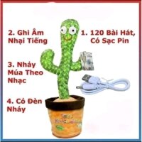 Bộ đồ chơi cây xương rồng cho bé