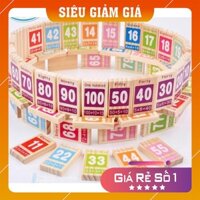 Bộ đồ chơi gỗ DOMINO 100 số học kèm tiếng anh