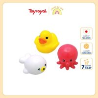 Bộ đồ chơi Toyroyal phun nước 3 in 1 dành cho bé trên 6m+