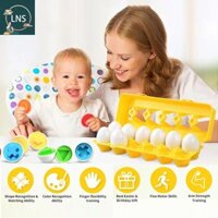 Bộ đồ chơi trứng khớp CRAFTYCORNER, Đồ chơi hộp trứng thể thao 3D dễ thương, Giáo dục bằng nhựa thông minh Đồ chơi trứng thông minh phù hợp đầy màu sắc Học tập Montessori