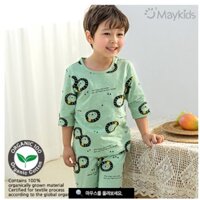 BỘ ĐỒ HÃNG MAYKIDS HÌNH SƯ TỬ XANH  (ẢNH THẬT)